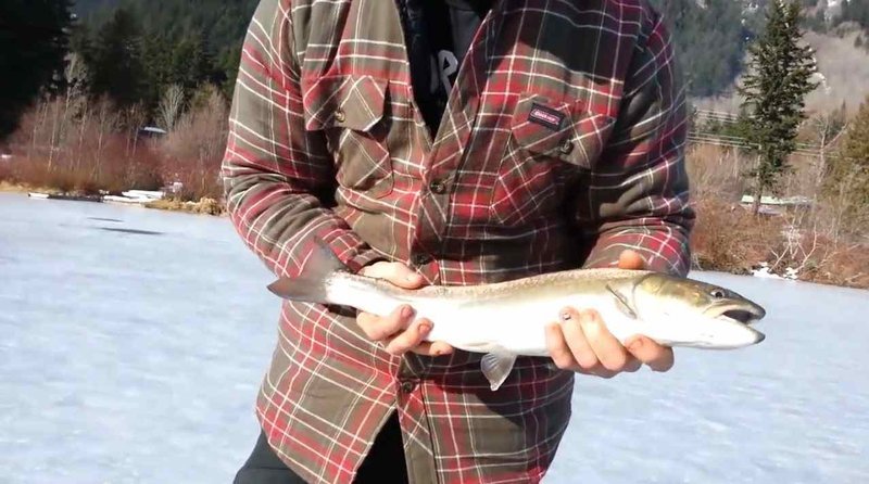 Ice fishing game gambling, ice fishing live demo